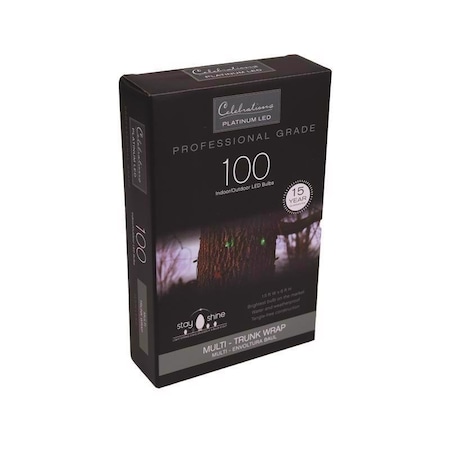 Celebrations Celebrations Platinum LED Mini Multicolored 100 ct Net Christmas Lights 6 ft. TW100BMUA